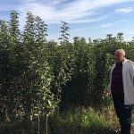 Fotoğraflar - Davraz Fidancılık