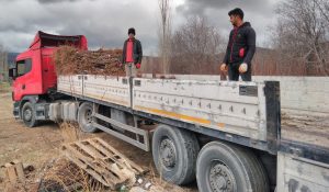 Karadeniz Bölgesindeki Çiftçilerimize Fidanları Hayırlı Olsun - Davraz Fidancılık