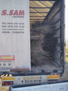 TÜRKMENİSTAN' A İLK ELMA VE ERİK FİDAN İHRACATIMIZ GERÇEKLEŞMİŞTİR. 8 TÜRKMENİSTAN' A İLK ELMA VE ERİK FİDAN İHRACATIMIZ GERÇEKLEŞMİŞTİR. - Davraz Fidancılık
