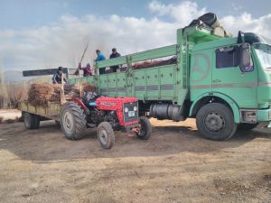 NİĞDE ALTUNHİSAR' DAN HASGÜL TARIM YENİ ELMA BAHÇESİ TESİSİ İÇİN DAVRAZ FİDANIN KALİTELİ FİDANLARINI TERCİH ETTİ 11 NİĞDE ALTUNHİSAR' DAN HASGÜL TARIM YENİ ELMA BAHÇESİ TESİSİ İÇİN DAVRAZ FİDANIN KALİTELİ FİDANLARINI TERCİH ETTİ - Davraz Fidancılık