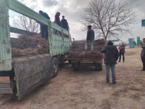 NİĞDE ALTUNHİSAR' DAN HASGÜL TARIM YENİ ELMA BAHÇESİ TESİSİ İÇİN DAVRAZ FİDANIN KALİTELİ FİDANLARINI TERCİH ETTİ 2 NİĞDE ALTUNHİSAR' DAN HASGÜL TARIM YENİ ELMA BAHÇESİ TESİSİ İÇİN DAVRAZ FİDANIN KALİTELİ FİDANLARINI TERCİH ETTİ - Davraz Fidancılık