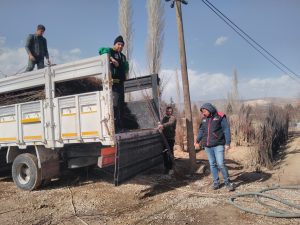 Amasya’ lı üreticilerimiz Davraz Fidanın Kaliteli Fidanlarını Tercih Etti. 2 Amasya’ lı üreticilerimiz Davraz Fidanın Kaliteli Fidanlarını Tercih Etti. - Davraz Fidancılık