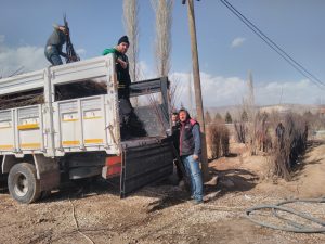 Amasya’ lı üreticilerimiz Davraz Fidanın Kaliteli Fidanlarını Tercih Etti. 3 Amasya’ lı üreticilerimiz Davraz Fidanın Kaliteli Fidanlarını Tercih Etti. - Davraz Fidancılık
