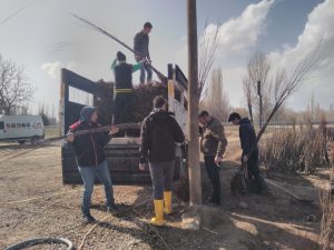 Amasya’ lı üreticilerimiz Davraz Fidanın Kaliteli Fidanlarını Tercih Etti. 4 Amasya’ lı üreticilerimiz Davraz Fidanın Kaliteli Fidanlarını Tercih Etti. - Davraz Fidancılık