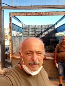 Garnem anaçları üreticilere teslim edildi. 1 Garnem anaçları üreticilere teslim edildi. - Davraz Fidancılık