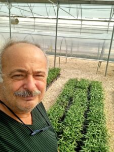 GF 677 Anaçları Üreticilere Teslim Edildi. 1 GF 677 Anaçları Üreticilere Teslim Edildi. - Davraz Fidancılık