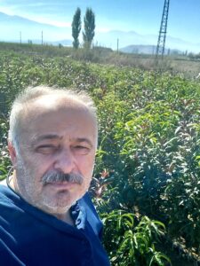 Şeftali Fidanı Üretim Çalışmalarımız Devam Etmektedir 1 Şeftali Fidanı Üretim Çalışmalarımız Devam Etmektedir - Davraz Fidancılık