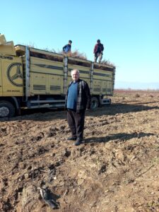 Garnem Anaçlı Sürdürme Fidanlarımız Teslim Edilmiştir. 2 Garnem Anaçlı Sürdürme Fidanlarımız Teslim Edilmiştir. - Davraz Fidancılık